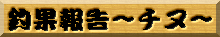 �މʕ񍐁`�`�k�`
