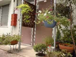 �e���X���C���@26KB