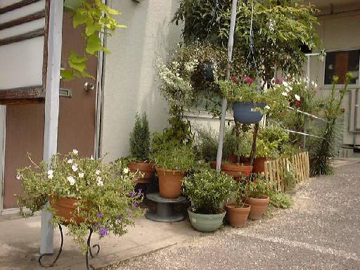 �Ă̒�̎ʐ^�@52KB