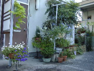 �Ă̒�̎ʐ^�@24KB