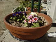 �v�������̔�