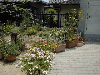 �����܂��S�i  47KB