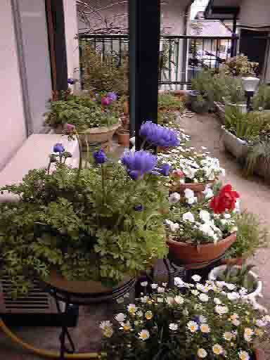 �R���̒�^�A�l���l