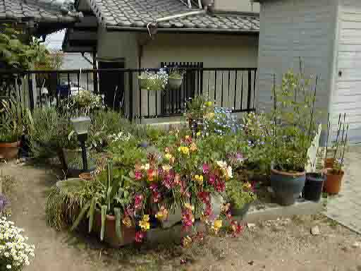 �S���̒�^�t���[�W�A