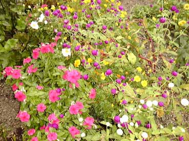 �j�`�j�`�\�E