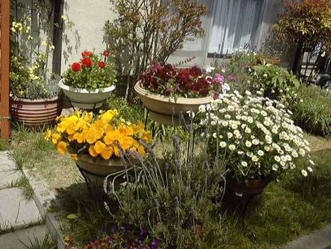 �Ԍɂ̂Ƃ���@50KB