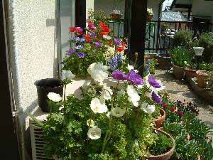 �A�l���l���@21KB