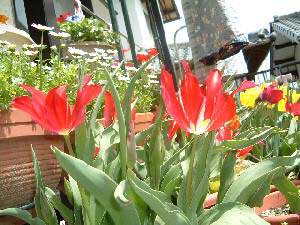 �A���W���@24KB