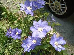 ���X�J���@23KB