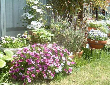 ���N���}�`�X���� 54KB