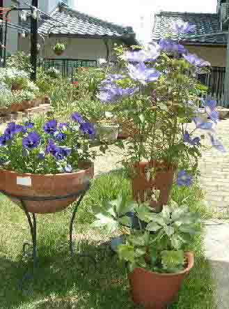 ���N���}�`�X���� 47KB