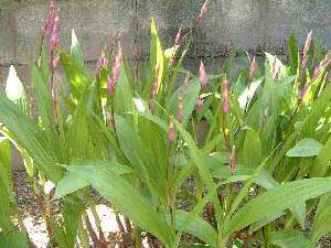 �V����20KB