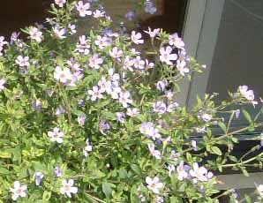 �X�e���@20KB