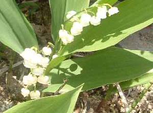 �X�Y����14KB