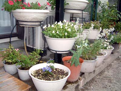 �v�����^�[�S�i