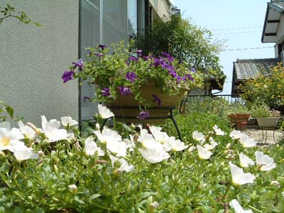 �|�[�`�����J�����Ղ�