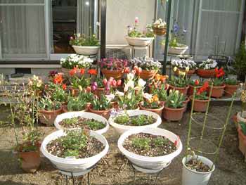 �S���Q��