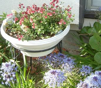 �f�B�X�A�V�A�@32KB