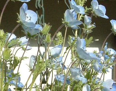 �l���t�B���@27KB