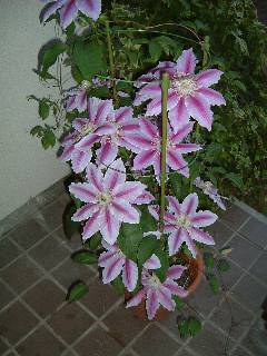 ���b�y��