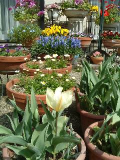 �`���[���b�v