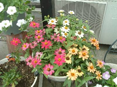 �q���N�j�`�\�E