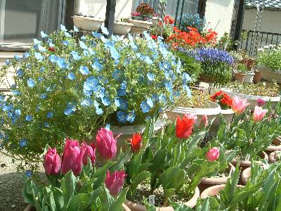 �`���[���b�v1