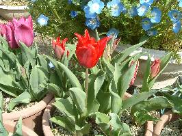 �`���[���b�v3