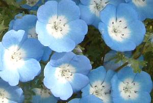 �l���t�B��2