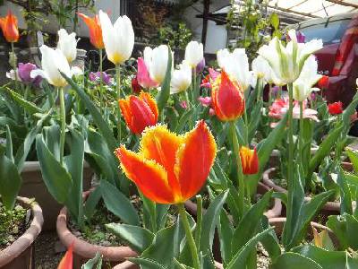 �_�x���|�[�g