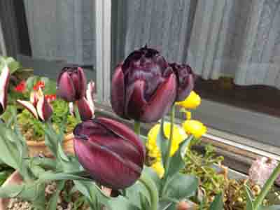 �u���b�N�`���[���b�v