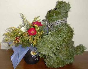 �t�����[�A�����W�̌F�̎ʐ^14KB