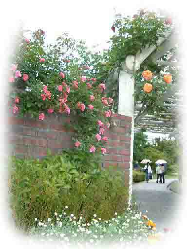 �����K���ƃo�� 52KB