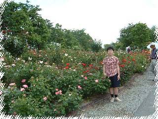 �o�����̒��̎� 30KB