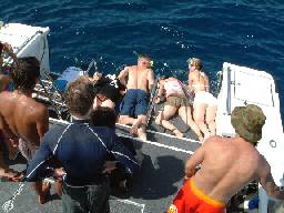 �}���^�T��