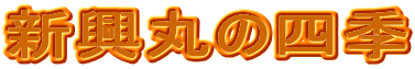 Vۂ̎lG