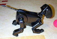 立つってのは大変な作業なんだと実感