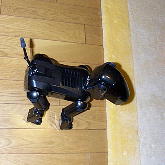 床の上も悪くはないけどね