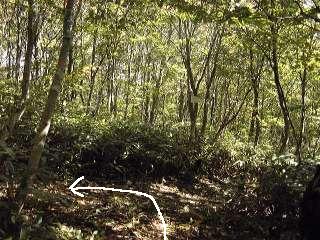 稜線の分岐