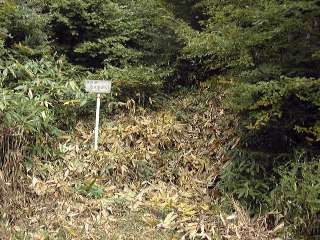天杉山への取り付き