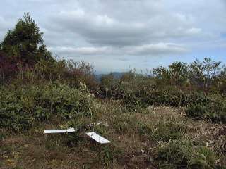 天杉山山頂