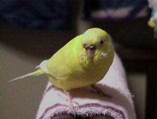 �킽����������I