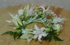 NE