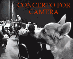 Concerto for Camera