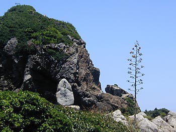 㗖
