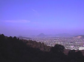 䗅