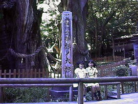 ̑吙